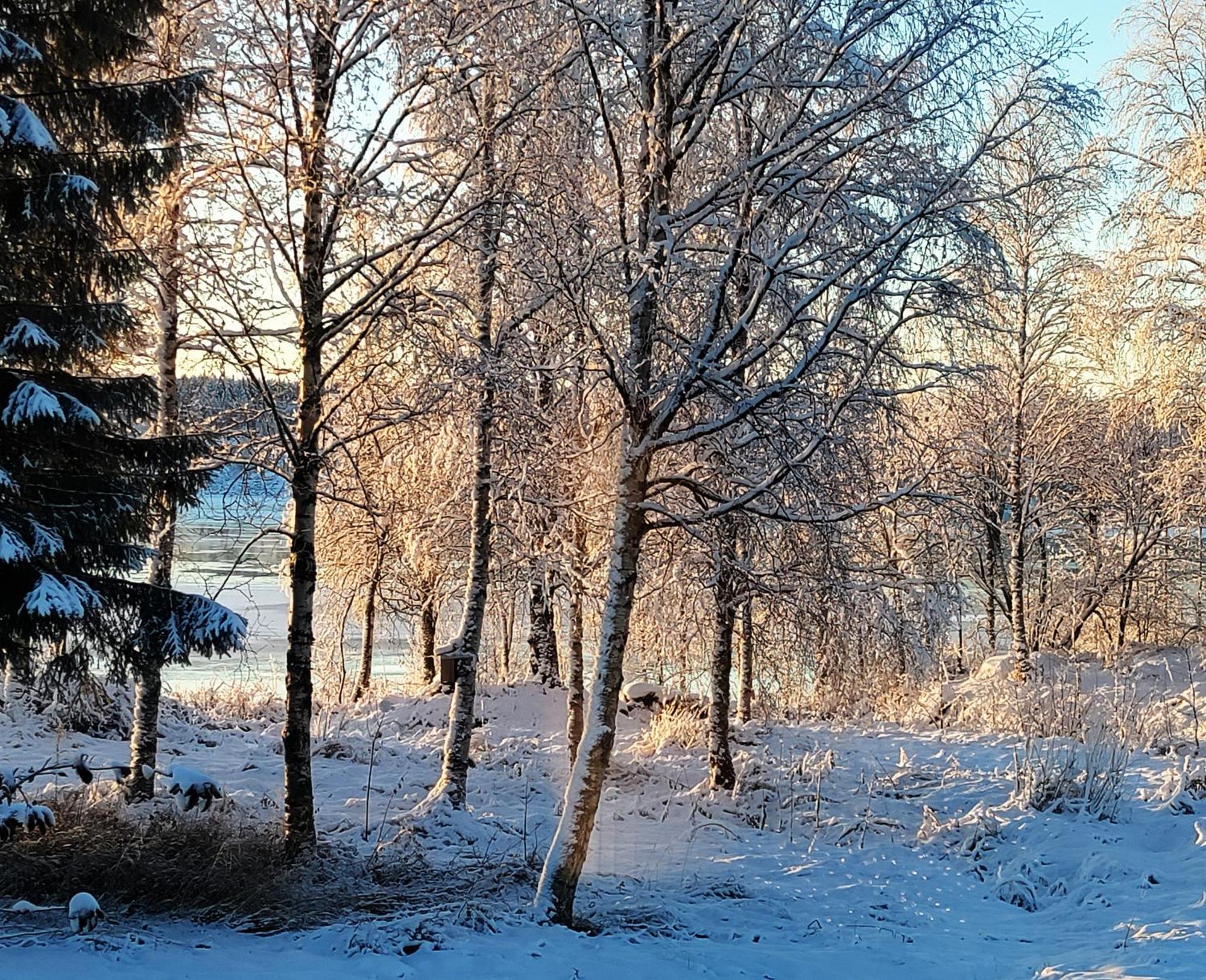 Villa Puistola & Sauna, Near Santa'S Village Rovaniemi Exteriér fotografie